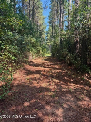 76 Acres of Hunting Land in Raleigh, MS, Smith County