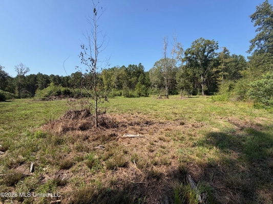 76 Acres of Hunting Land in Raleigh, MS, Smith County