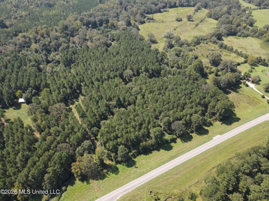 76 Acres of Hunting Land in Raleigh, MS, Smith County