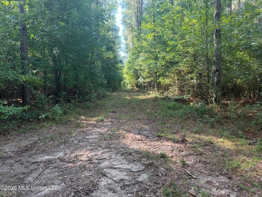 76 Acres of Hunting Land in Raleigh, MS, Smith County