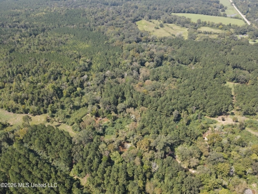 76 Acres of Hunting Land in Raleigh, MS, Smith County
