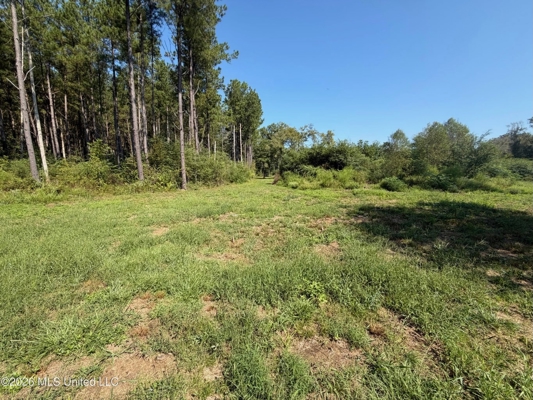 76 Acres of Hunting Land in Raleigh, MS, Smith County