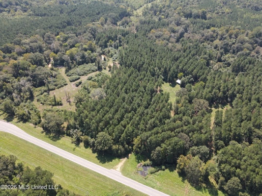 76 Acres of Hunting Land in Raleigh, MS, Smith County