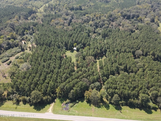 76 Acres of Hunting Land in Raleigh, MS, Smith County