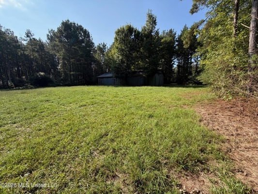 52 Acres Hunting & Timberland in Raleigh, MS