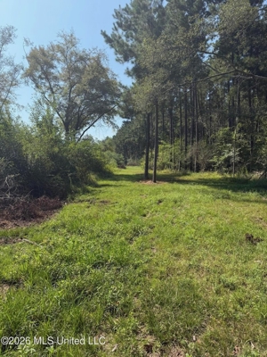 52 Acres Hunting & Timberland in Raleigh, MS
