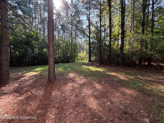 52 Acres Hunting & Timberland in Raleigh, MS