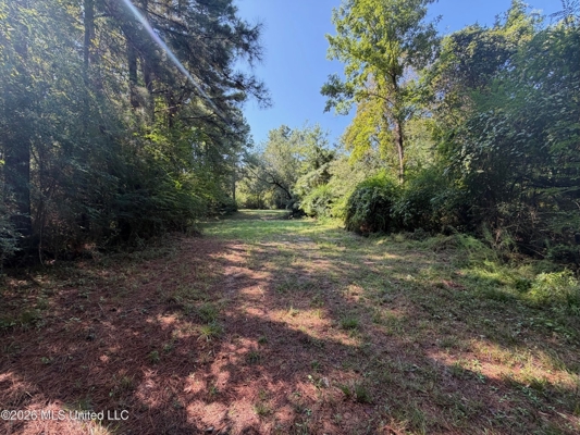52 Acres Hunting & Timberland in Raleigh, MS