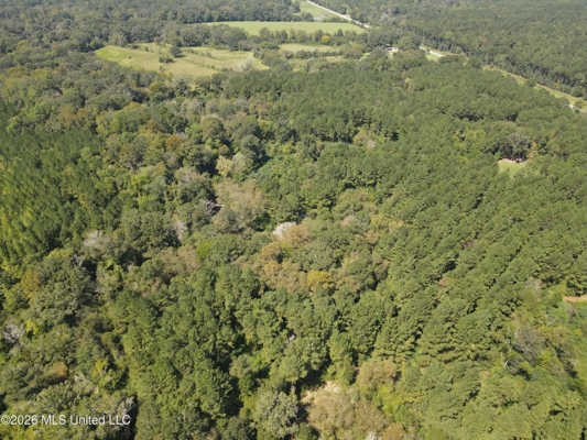 52 Acres Hunting & Timberland in Raleigh, MS