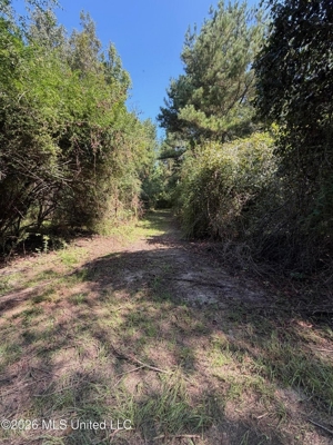 52 Acres Hunting & Timberland in Raleigh, MS