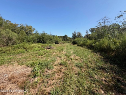 52 Acres Hunting & Timberland in Raleigh, MS