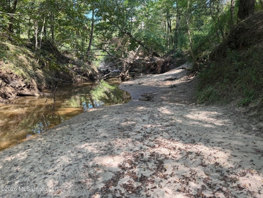 52 Acres Hunting & Timberland in Raleigh, MS