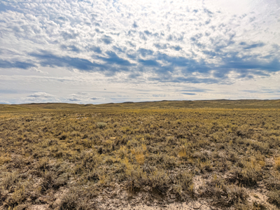 Southwest Saco Grazing Tract | 856± Acres | Phillips County, MT - image 22