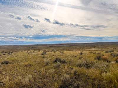 Southwest Saco Grazing Tract | 856± Acres | Phillips County, MT - image 35