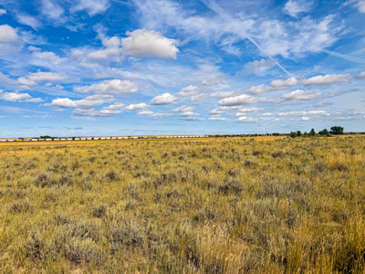 Southwest Saco Grazing Tract | 856± Acres | Phillips County, MT - image 21