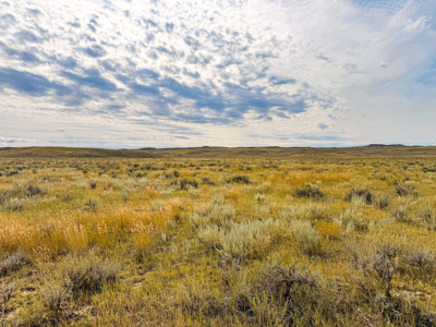 Southwest Saco Grazing Tract | 856± Acres | Phillips County, MT - image 32