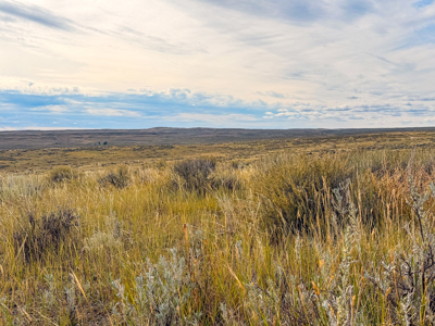 Southwest Saco Grazing Tract | 856± Acres | Phillips County, MT - image 36
