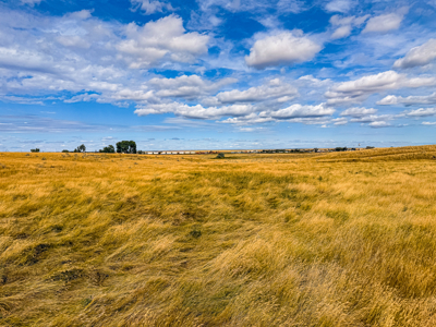 Southwest Saco Grazing Tract | 856± Acres | Phillips County, MT - image 16
