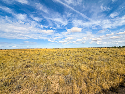 Southwest Saco Grazing Tract | 856± Acres | Phillips County, MT - image 34