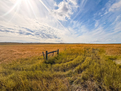 Southwest Saco Grazing Tract | 856± Acres | Phillips County, MT - image 29