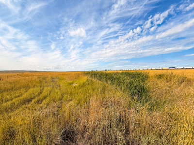 Southwest Saco Grazing Tract | 856± Acres | Phillips County, MT - image 25