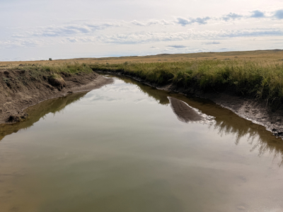 Southwest Saco Grazing Tract | 856± Acres | Phillips County, MT - image 14