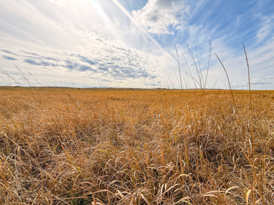 Southwest Saco Grazing Tract | 856± Acres | Phillips County, MT - image 31