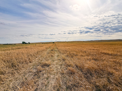 Southwest Saco Grazing Tract | 856± Acres | Phillips County, MT - image 30