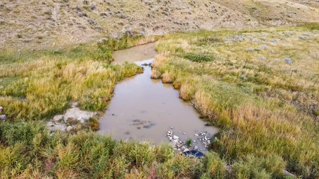 Southwest Saco Grazing Tract | 856± Acres | Phillips County, MT - image 10