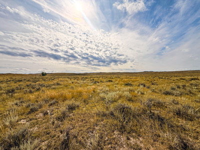 Southwest Saco Grazing Tract | 856± Acres | Phillips County, MT - image 33