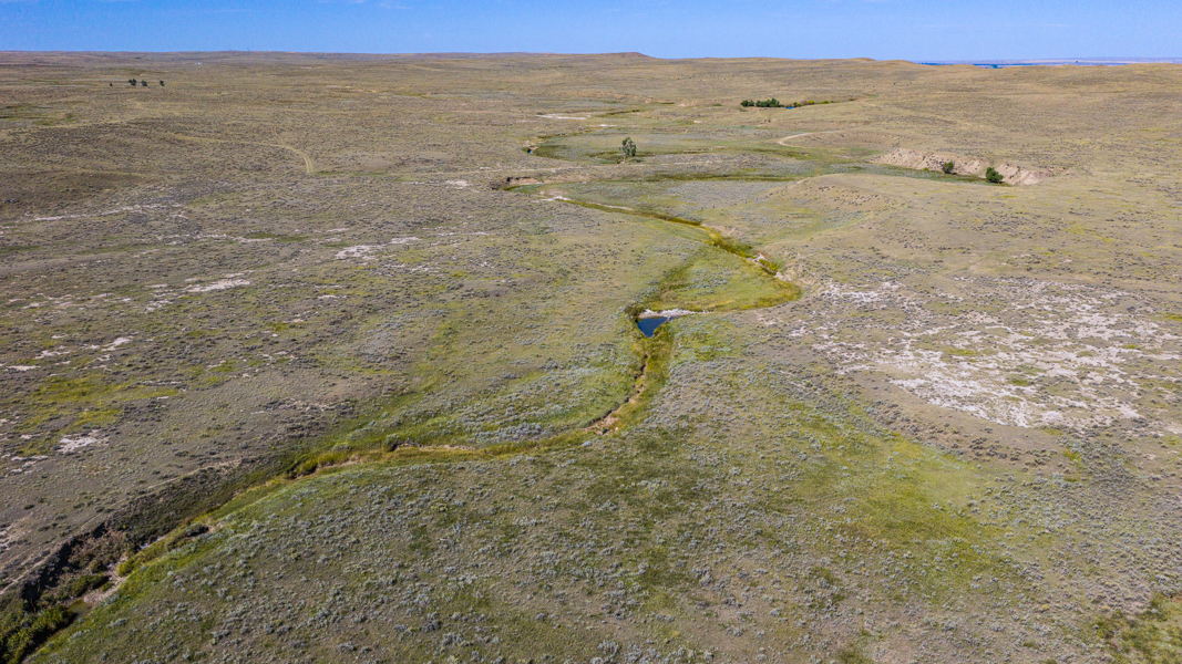 No Caption