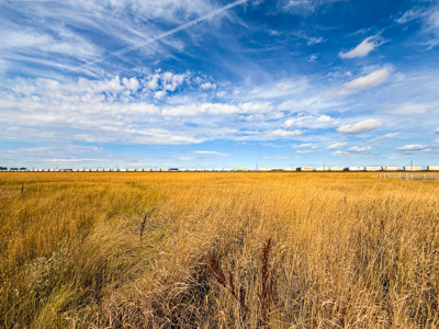 Southwest Saco Grazing Tract | 856± Acres | Phillips County, MT - image 27