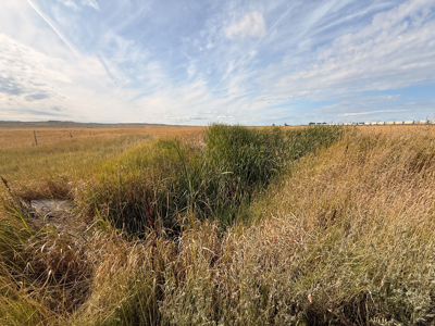 Southwest Saco Grazing Tract | 856± Acres | Phillips County, MT - image 26