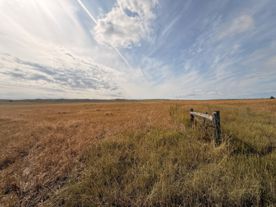 Southwest Saco Grazing Tract | 856± Acres | Phillips County, MT - image 24