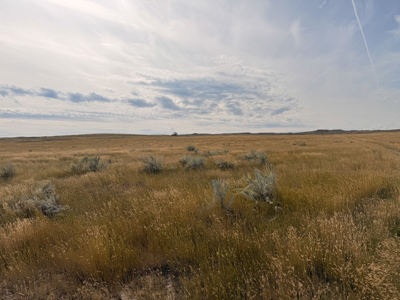 Southwest Saco Grazing Tract | 856± Acres | Phillips County, MT - image 19