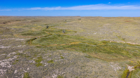 Southwest Saco Grazing Tract | 856± Acres | Phillips County, MT - image 45