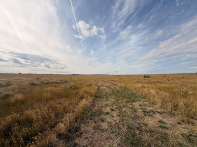 Southwest Saco Grazing Tract | 856± Acres | Phillips County, MT - image 15