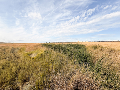 Southwest Saco Grazing Tract | 856± Acres | Phillips County, MT - image 28