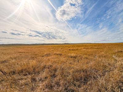 Southwest Saco Grazing Tract | 856± Acres | Phillips County, MT - image 23