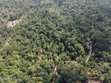 Listing 156