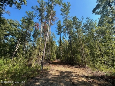 Listing 156