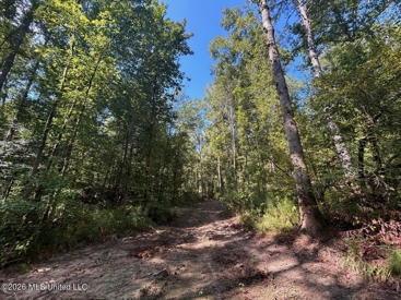 Listing 156
