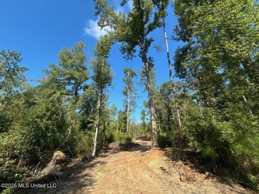 Listing 156