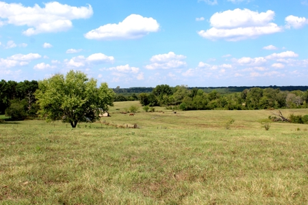 118-Acre Horse & Cattle Ranch for Sale in Henderson, Texas - image 2