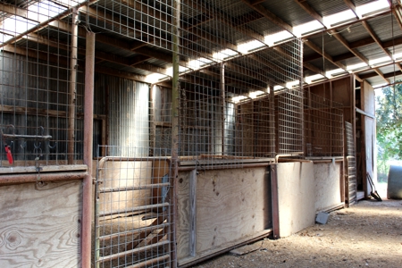 118-Acre Horse & Cattle Ranch for Sale in Henderson, Texas - image 10