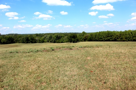 118-Acre Horse & Cattle Ranch for Sale in Henderson, Texas - image 6