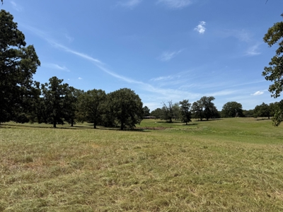 Rural Acreage For Sale in Mineola Texas Near Lindale Smith County - image 10