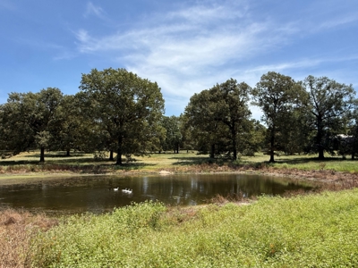 Rural Acreage For Sale in Mineola Texas Near Lindale Smith County - image 1