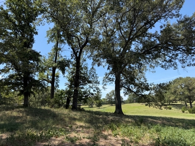 Rural Acreage For Sale in Mineola Texas Near Lindale Smith County - image 9