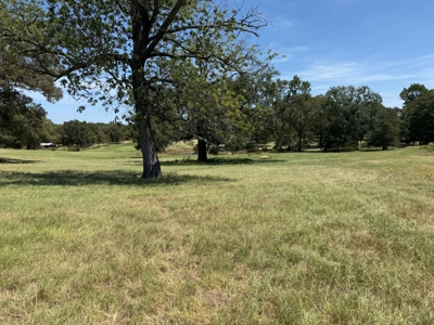 Rural Acreage For Sale in Mineola Texas Near Lindale Smith County - image 6